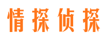 汨罗市私人侦探